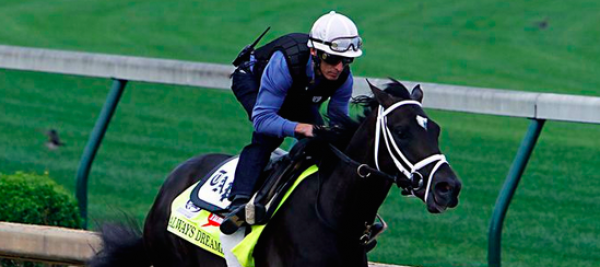 Bookie Customized 2017 Breeders Cup Classic Odds