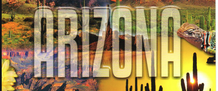 How Do I Start a Sportsbook From Arizona?