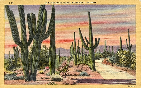 Can I Play on PokerStars From Arizona? 