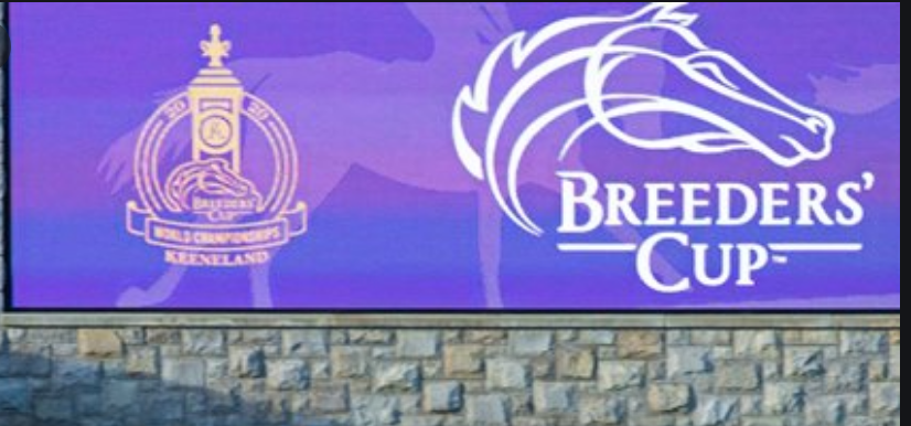 Tom's d'Etat Payout Odds to Win Breeders Cup Classic 