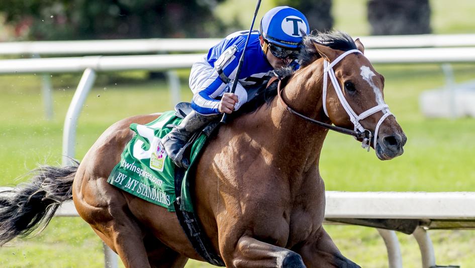 By My Standards Kentucky Derby Payout Odds