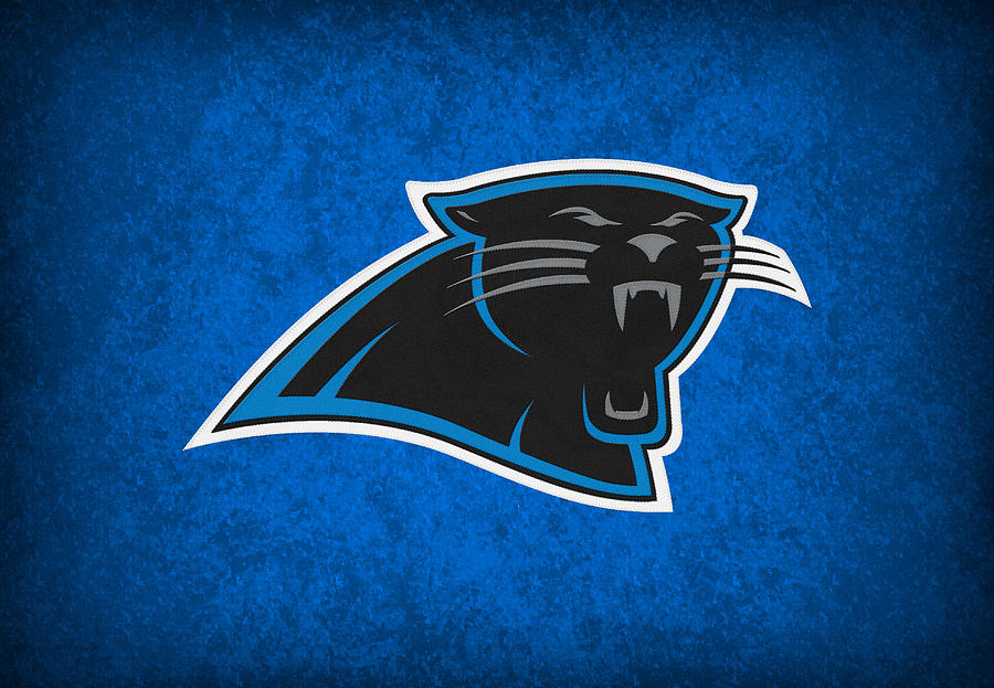 NFL Football Betting: Who Will Be the Carolina Panthers Next Head Coach?  