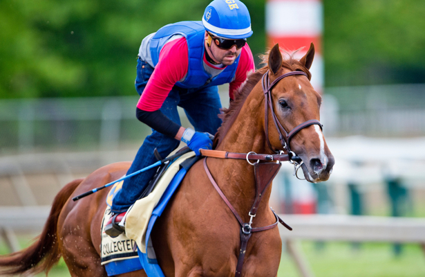Collected Odds to Win the 2017 Breeders Cup Classic 