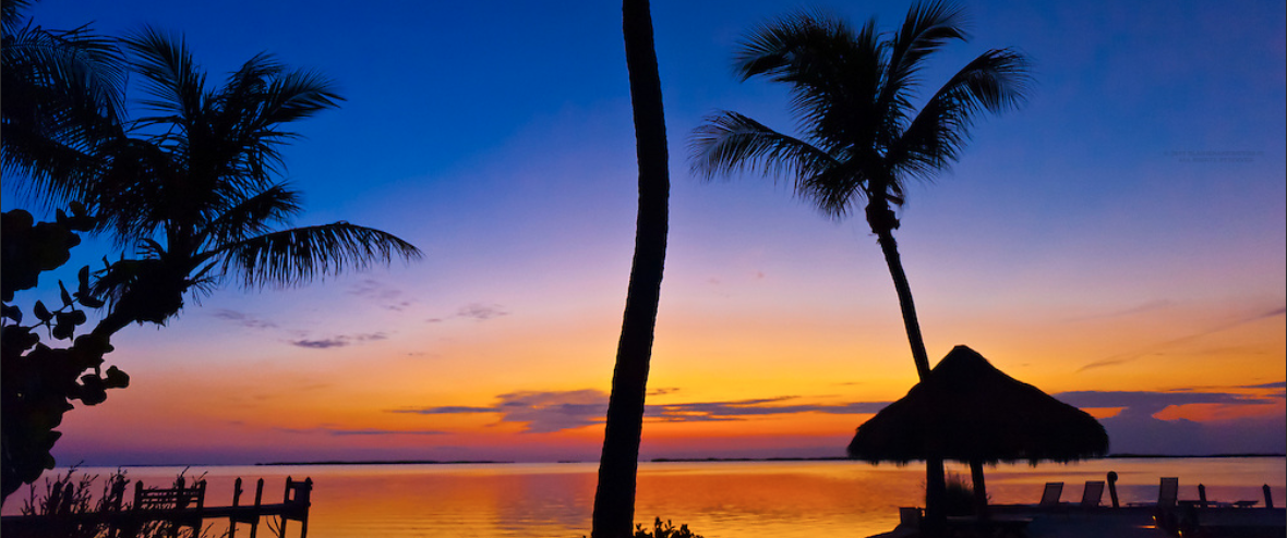 Where Can I Bet the NFL Draft Online From Florida?