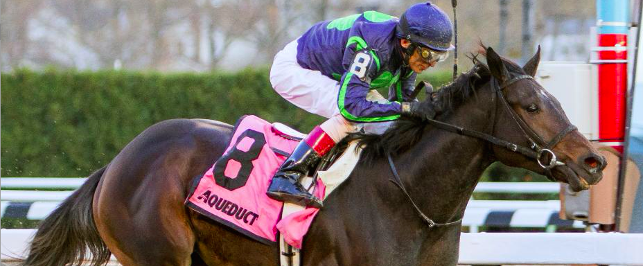 2017 Kentucky Derby Contenders: Girvin, Classic Emperor, McCracken, Hence