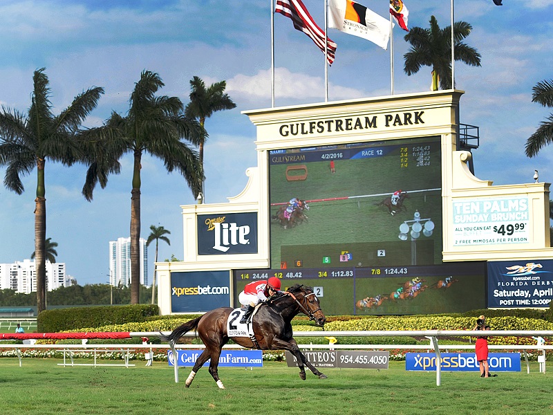 Fasig-Tipton Gulfstream Oaks Betting Odds 2020 