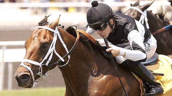 What Are The Different Types of Horse Betting Types? 