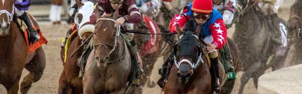 Where to Bet the 2019 Fountain of Youth Online, Latest Odds
