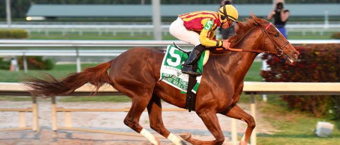 Irish War Cry Early Odds to Win 2017 Kentucky Derby