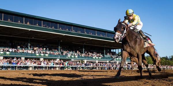 Kentucky Derby 2019 Morning Odds 
