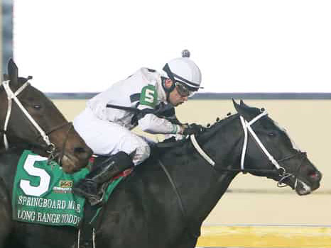  Long Range Toddy, Plus Que Parfait, Spinoff Kentucky Derby Payout Odds