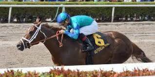 Odds on Magnum Moon Winning the Kentucky Derby 