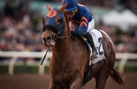 Mind Your Biscuits Odds to Win 2018 Breeders Cup Classic 