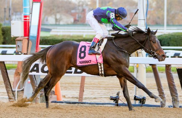 2017 Risen Star Stakes Betting Odds