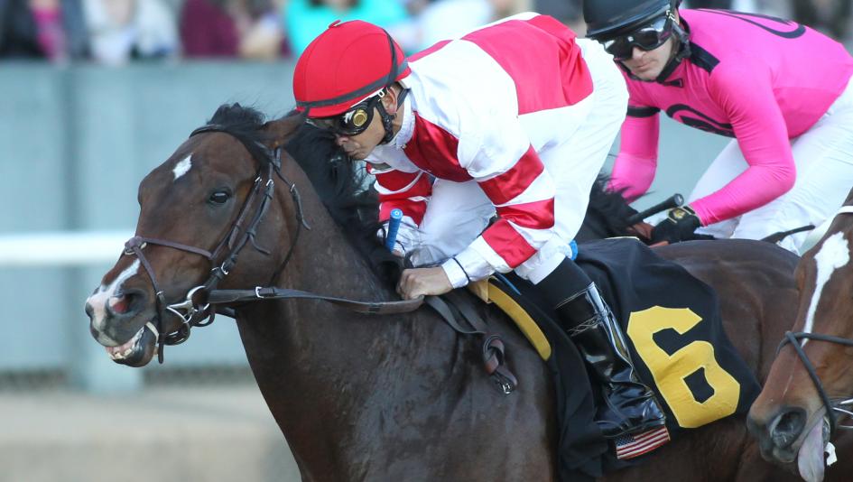 Omaha Beach Kentucky Derby Payout Odds