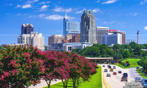 Where Can I Watch, Bet the Khabib vs. McGregor Fight - UFC 229 - Raleigh Durham, NC