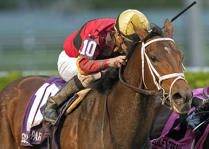 Bet the Breeders Cup Online From Florida