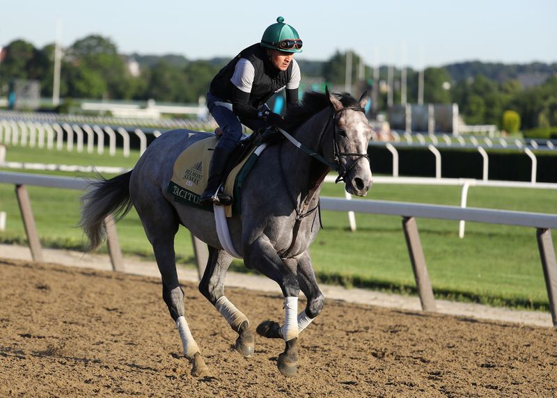 Tacitus Payout Odds to Win Belmont Stakes