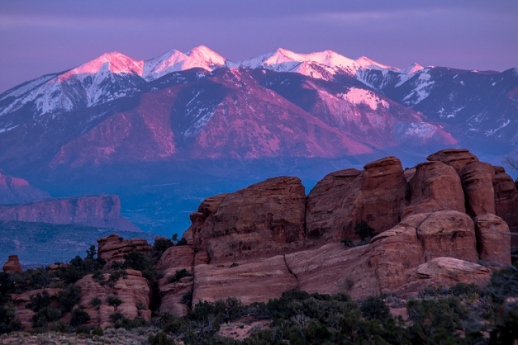 Sports Betting Software Nevada, Utah, New Mexico
