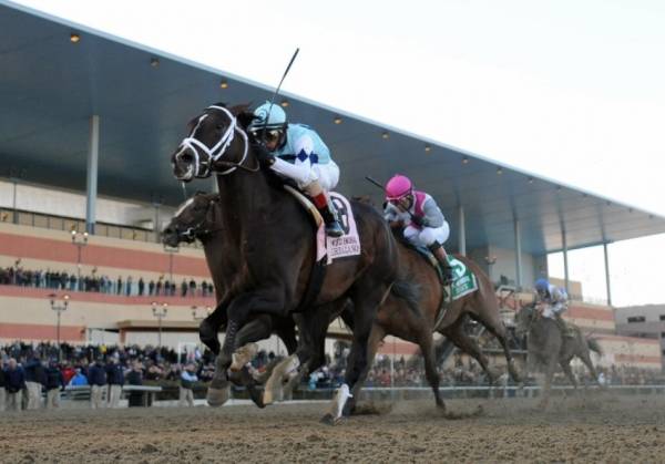 Xpressbet vs. Other Online Horse Racing Betting Websites 