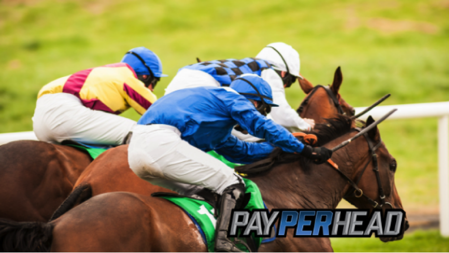 Get Players In Your Racebook For This Weekend's 2018 Breeder's Cup!