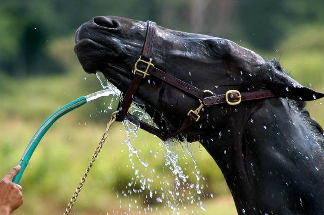 NBC Already Being Made the Fall Guy for Likely Haskell Horror