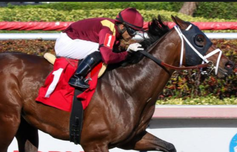 Where Can I Bet the Preakness Stakes Online From Illinois