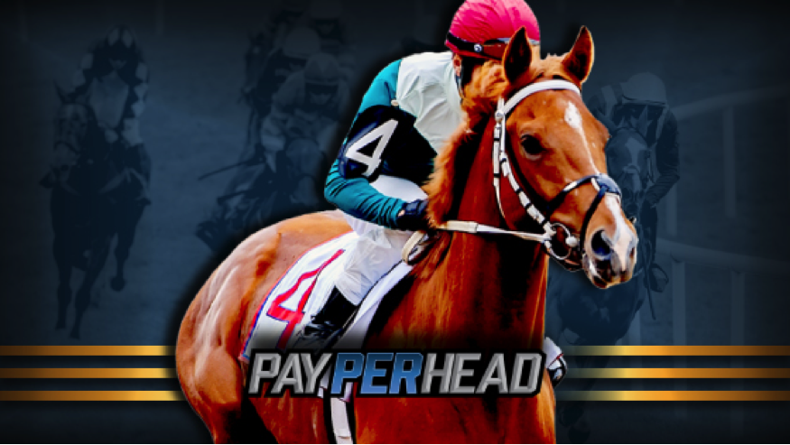 Should Online Bookies Offer Pony Betting In Their Sportsbook?