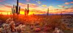 BetMGM Expands Into Arizona, Partnering With Gila River Hotels & Casinos, Arizona Cardinals