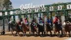Three Reasons to Bet The 2020 Arkansas Derby at an Online Sportsbook