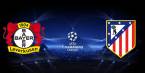 Bayer Leverkusen v Atletico Madrid Betting Preview, Tips, Latest Odds - 21 Feb
