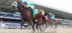 Getting Ready for the 2022 Belmont Stakes