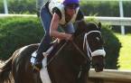 Bravazo Odds to Win the 2018 Breeders Cup