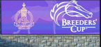 Tom's d'Etat Payout Odds to Win Breeders Cup Classic 
