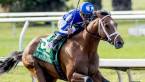 By My Standards Kentucky Derby Payout Odds
