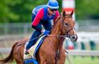 Collected Odds to Win the 2017 Breeders Cup Classic 