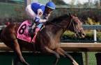 Dennis' Moment Payout Odds to Win the Fountain of Youth Stakes