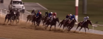 Odds to Win The 2022 Dubai World Cup - Payouts