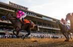 Odds to win the 2018 Breeders Cup Juvenile - Game Winner Big Favorite