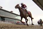 Gun Runner Odds to Win the 2017 Breeders Cup Classic 