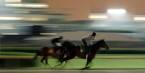 Today’s Ayr Horse Racing Betting Online 
