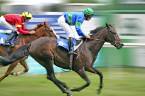 Can I Bet Onnline at Xpressbet From Oregon, Washington State?