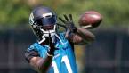 Jacksonville Jaguars Odds to Win the 2017 AFC South
