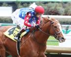 King Fury Payout Odds to Win the 2021 Kentucky Derby 