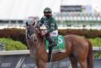 Known Agenda Payout Odds to Win the Belmont Stakes