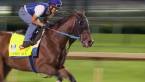 Lookin at Lee Odds to Win 2017 Kentucky Derby 