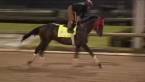 What Will the Payout Be on Major Fed to Win the Kentucky Derby?