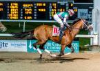 Mandaloun Payout Odds to Win the Kentucky Derby