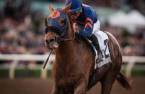 Mind Your Biscuits Odds to Win 2018 Breeders Cup Classic 