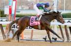 2017 Risen Star Stakes Betting Odds